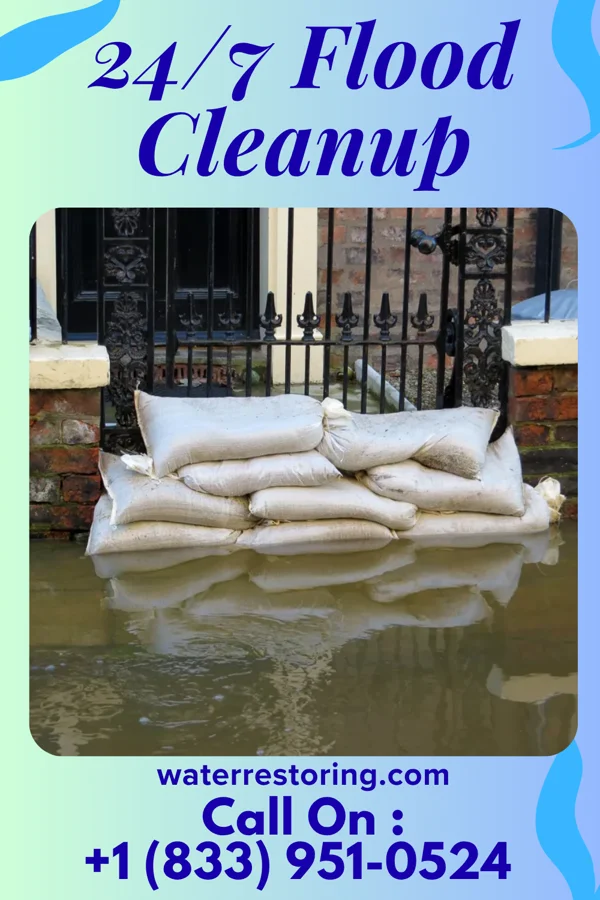 24/7 Flood Cleanup in South Gull Lake, MI