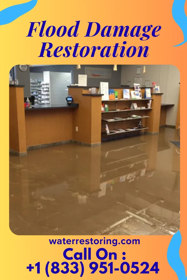 Flood Damage Restoration in South Gull Lake, MI